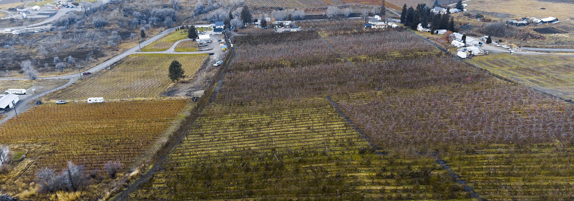 Sale of a 20+ acre apple orchard